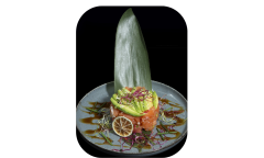 Produit Sakana Saumon